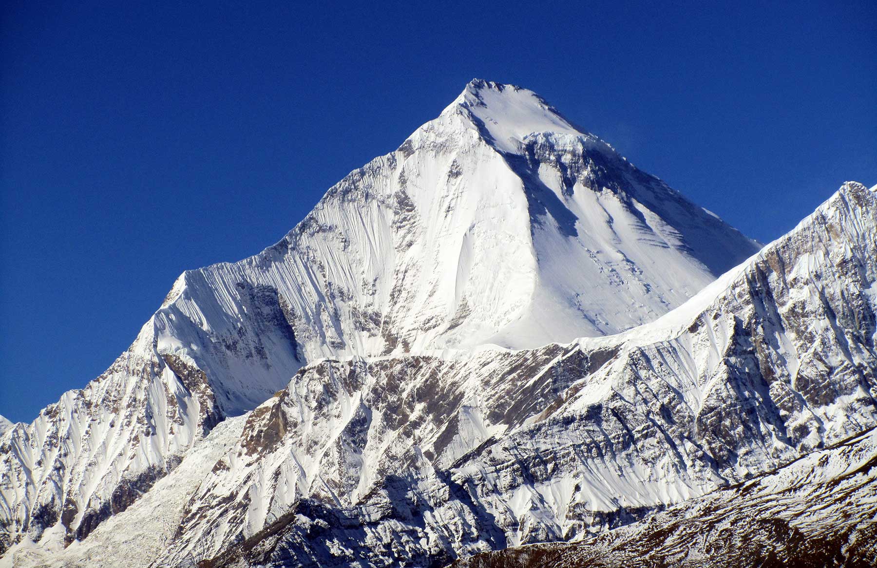 Dhaulagiri - Impact Ascents